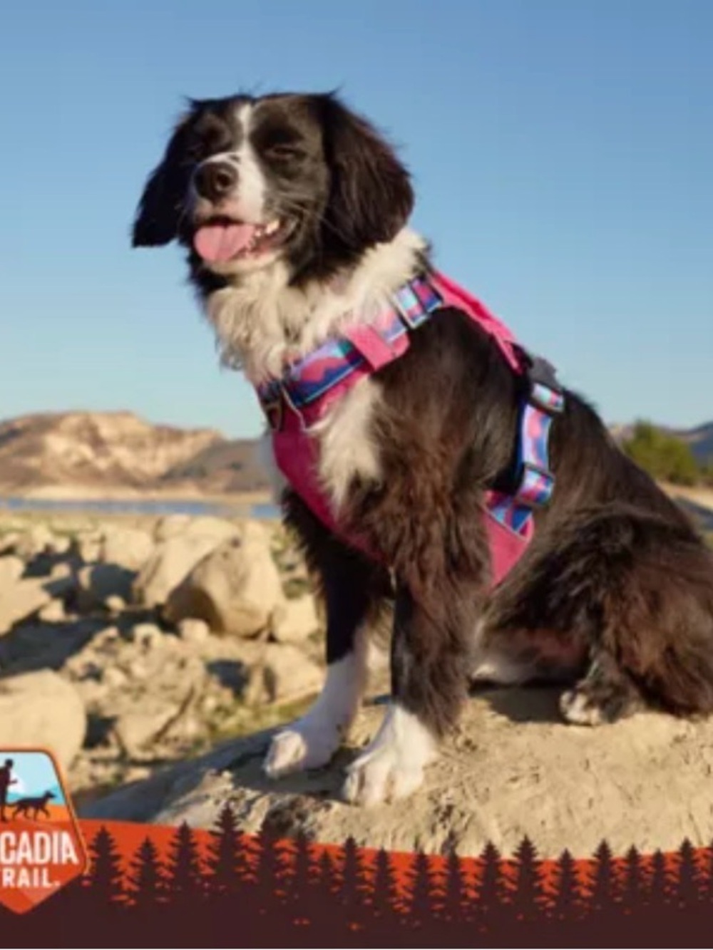 Pink Geometric Pattern Dog Harness -